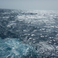 International Freighter Voyages Pfeiffer - Image Gallery - Image 128