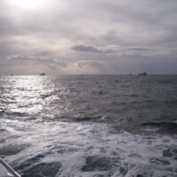 International Freighter Voyages Pfeiffer - Image Gallery - Image 16