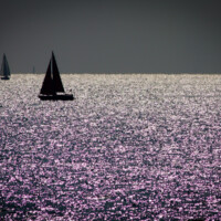 International Freighter Voyages Pfeiffer - Image Gallery - Image 48