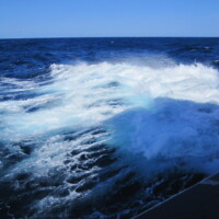 International Freighter Voyages Pfeiffer - Image Gallery - Image 79