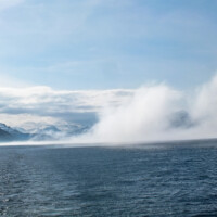 International Freighter Voyages Pfeiffer - Image Gallery - Image 92
